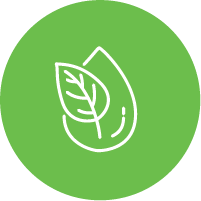 Opción monitoreo local y remoto